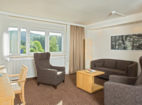 BRUGGER' S Hotelpark am See 4*, Титизее-Нойштадт, отели Германии