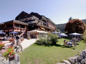 Maritim TitiseeHotel 4*, Титизее-Нойштадт, отели Германии