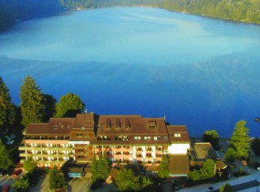 Maritim TitiseeHotel 4*, Титизее-Нойштадт, отели Германии