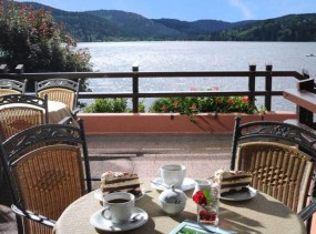 Maritim TitiseeHotel 4*, Титизее-Нойштадт, отели Германии