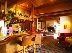 Maritim TitiseeHotel 4*, Титизее-Нойштадт, отели Германии