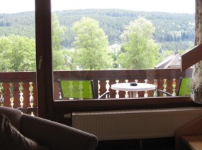 Parkhotel Waldeck Golf & Wellnesshotel, Титизее-Нойштадт, отели Германии