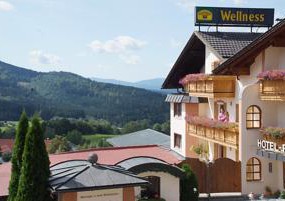 Wellness- und Ferienhotel Waldesruh 4*, Боденмайс, отели Германии