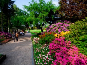 Парк птиц в Вальсроде. Вальсроде. Туры в Германию