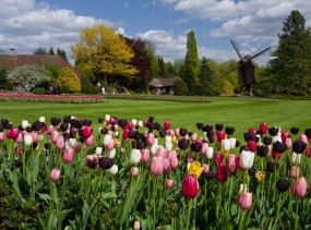 Парк птиц в Вальсроде. Вальсроде. Туры в Германию