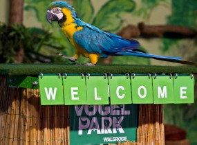 Парк птиц в Вальсроде. Вальсроде. Туры в Германию