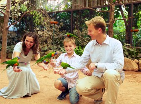 Парк птиц в Вальсроде. Вальсроде. Туры в Германию