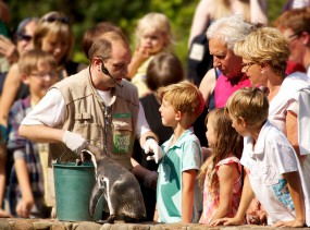 Парк птиц в Вальсроде. Вальсроде. Туры в Германию