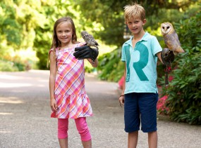 Парк птиц в Вальсроде. Вальсроде. Туры в Германию
