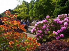 Парк птиц в Вальсроде. Вальсроде. Туры в Германию