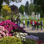 Парк птиц в Вальсроде. Вальсроде. Туры в Германию