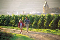 Окрестности Бад Нойенара - Арвайлера ©DZT Окрестности Бад Нойенара - Арвайлера ©DZT