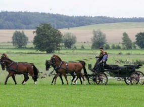 Отдых и занятия конный спортом на острове Хайлигендамм Heiligendamm